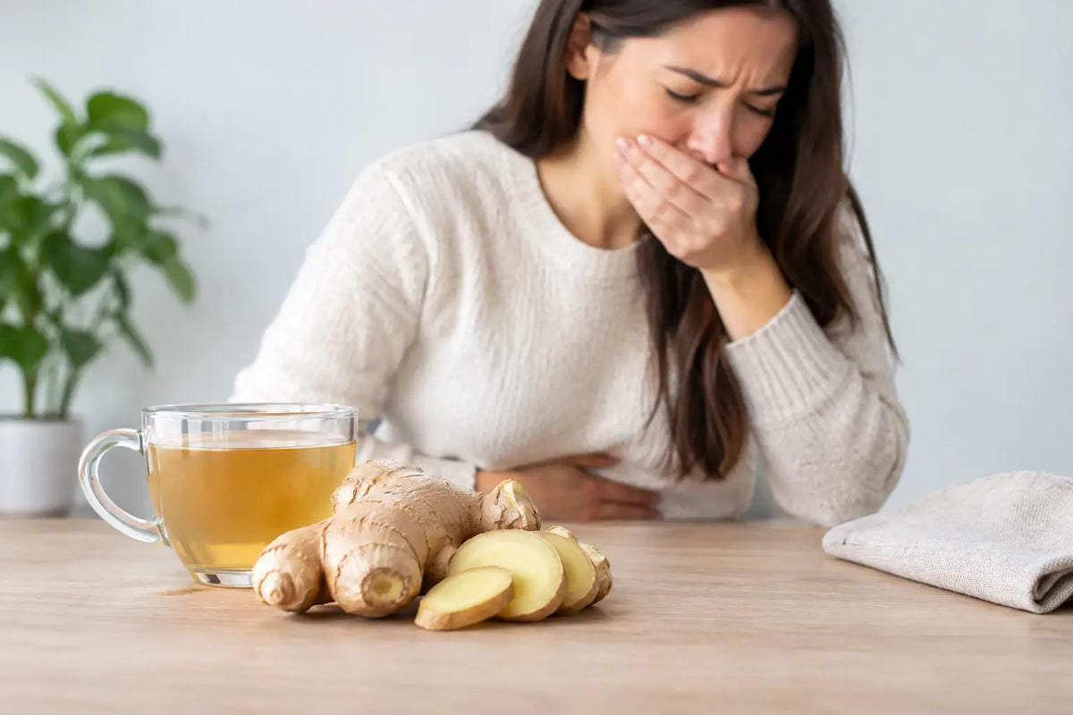 Does Ginger Root for Hangover Nausea Help?